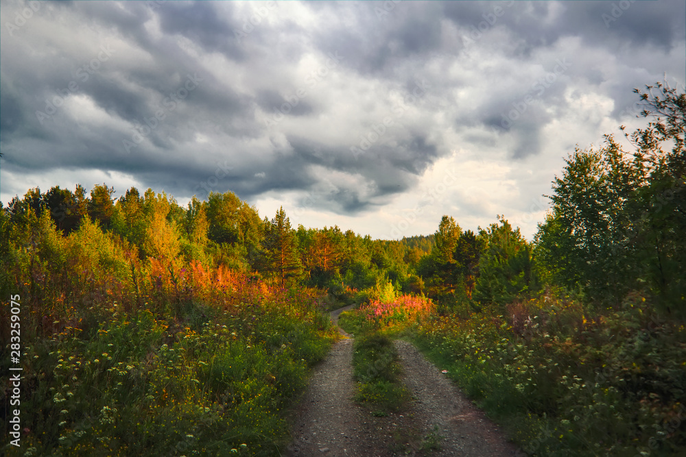 Naklejka premium Sunset in the forest by the lake summer landscape.