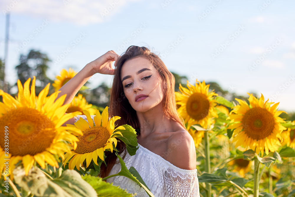 Beautiful young girl enjoying nature on a field of sunflowers. Sunlight plays on the field. Outdoor lifestyle. Summer cozy mood. Beautiful young girl enjoying nature on a field of sunflowers. Sunlight plays on the field. Outdoor lifestyle. Summer cozy mood.