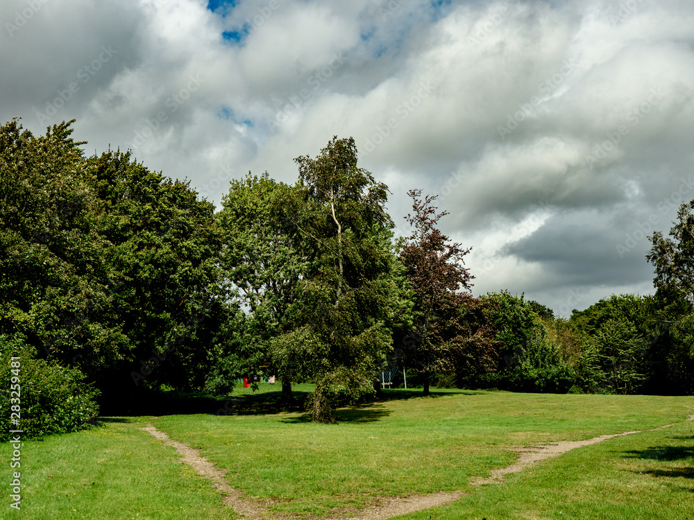 Naklejka premium OLYMPUS DIGITAL CAMERA - PARK