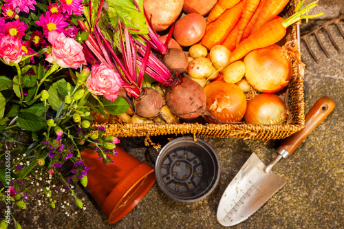 gardening with tools growing organic vegetables and flowers on the allotment for healthy eating and country living home grown food and flowers