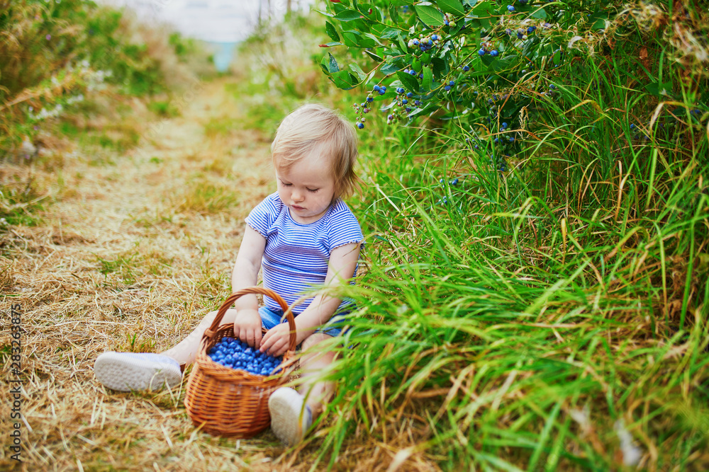 Adorable toddler girl picking fresh organic blueberries