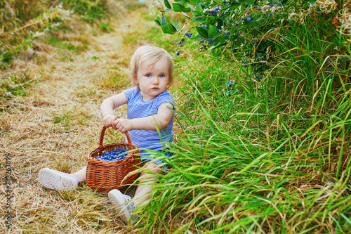 Adorable toddler girl picking fresh organic blueberries