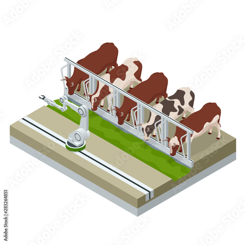 Isometric irrigational smart robotic system on the dairy farm. Automated agriculture, technology. Robot farmers. Farm cowshed with milking cows eating hay.