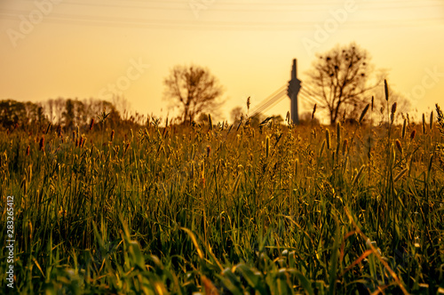 Dreamy field on the sunrise in the city of Bad Oeynhausen