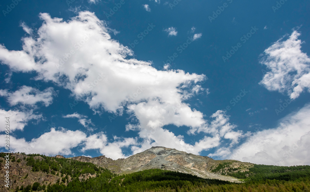 Pine tree forest on a steep slope in the Swiss Alps with blue sky and clouds. Picturesque and majestic scene