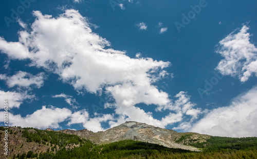 Pine tree forest on a steep slope in the Swiss Alps with blue sky and clouds. Picturesque and majestic scene