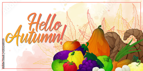 Horizontal vector banner for thanksgiving day or harvest festival with hand draw cornucopia or horn of plenty with vegetables and fruits and mushrooms on white background with outline autumn leaves