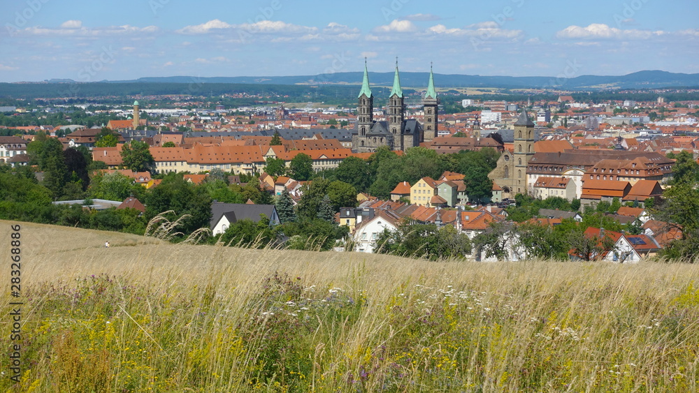 View of Bamberg from hills above town