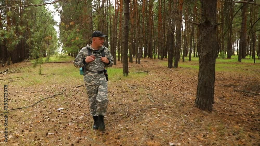 the camera moves behind the traveler in camouflage clothes, a cap and with a backpack, in a pine forest in clear weather, rear view, close-up the camera moves behind the traveler in camouflage clothes, a cap and with a backpack, in a pine forest in clear weather, rear view, close-up