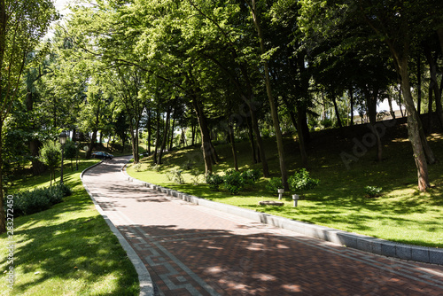 Fototapeta Naklejka Na Ścianę i Meble -  shadows and walkway near trees with green leaves in park