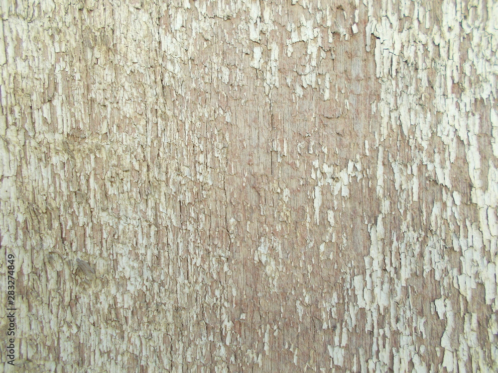 Fototapeta premium Wood texture for your design