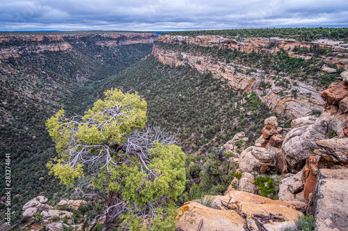 Mesa Verde National Park in Colorado, USA