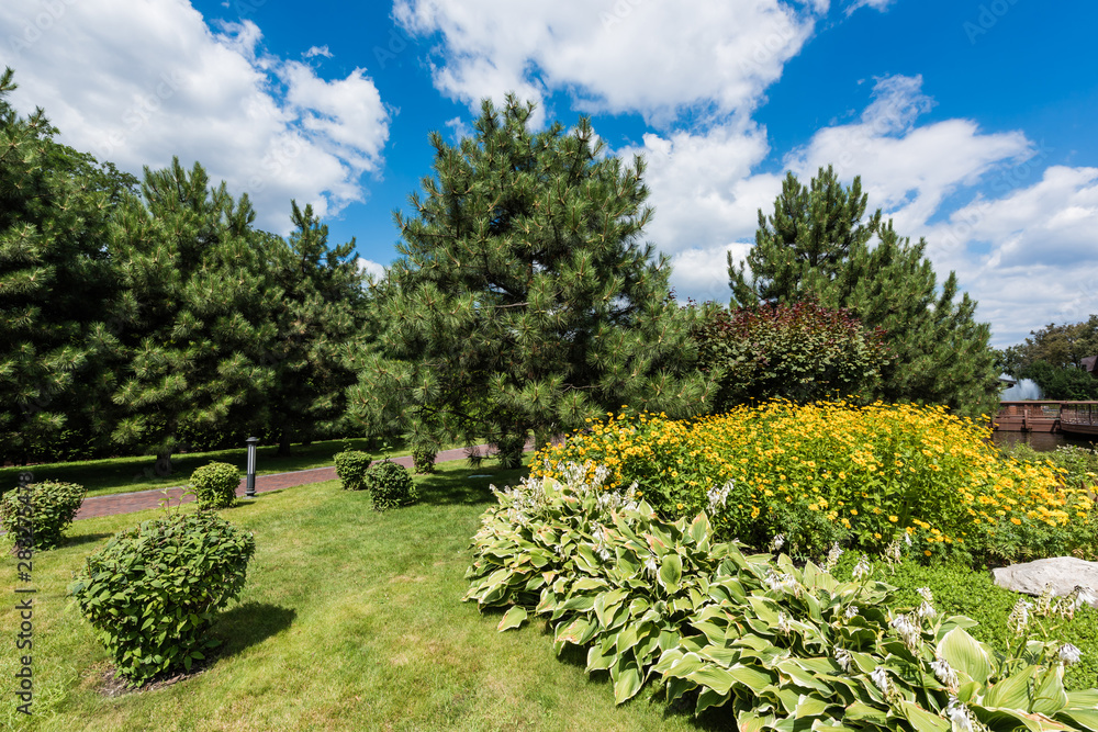 selective focus of green grass with bushes and trees in park