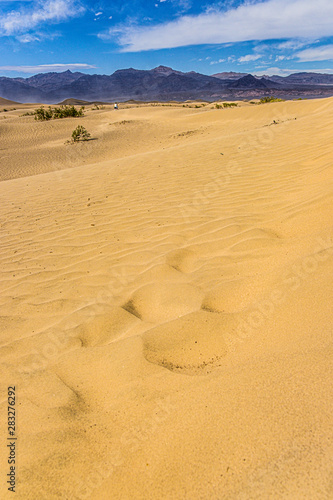 Landscape of sand dunes - The Mesquite Flat Sand Dunes in Death Valley National Park  California  USA