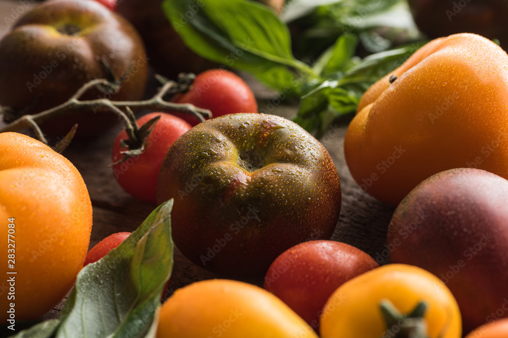 close up view of tomatoes with spinach on wooden surface close up view of tomatoes with spinach on wooden surface