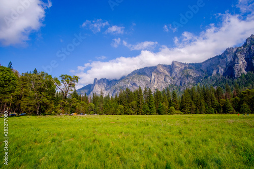 Beautiful meadow in Yosemite National Park in California, USA