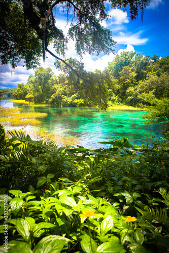 Rainbow Springs, Florida