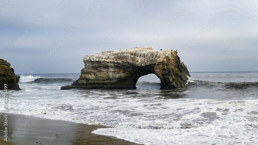 Natural bridges state beach, Santa Cruz,California Natural bridges state beach, Santa Cruz,California