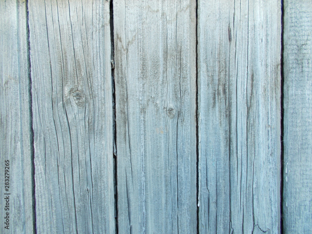 Fototapeta premium Wood texture for design