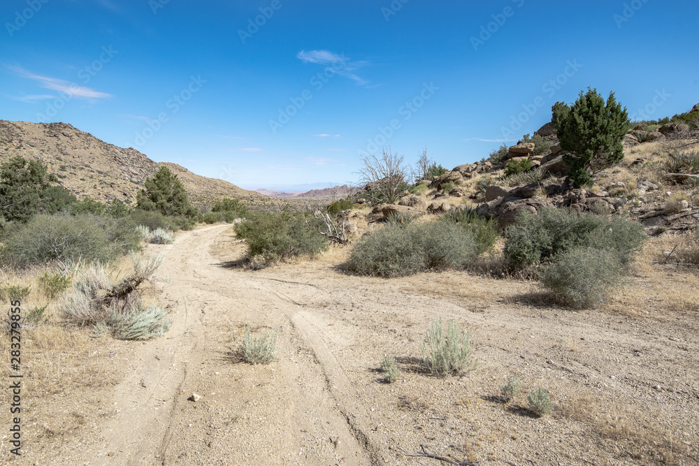 USA, Nevada, Clark County, Gold Butte National Monument. A Y intersection between two dirt roads in Jumbo Basin. USA, Nevada, Clark County, Gold Butte National Monument. A Y intersection between two dirt roads in Jumbo Basin.