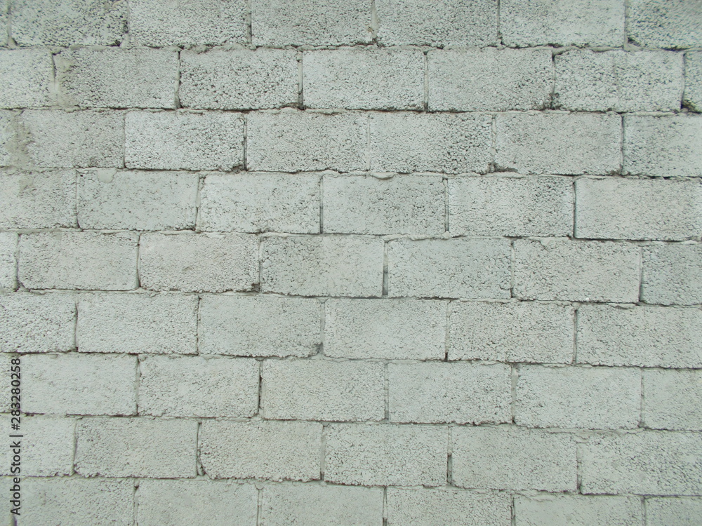 Obraz premium Brick wall for interior design