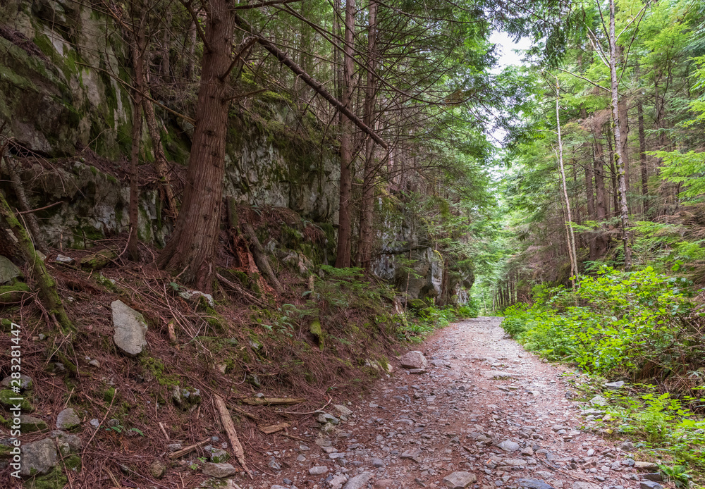 Obraz premium View at Mountain Trail in British Columbia, Canada. Mountains Background. DeBeck Trail.