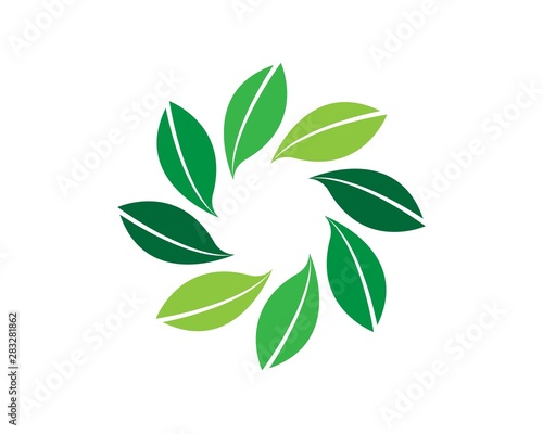 Logos of green leaf ecology nature element vector icon