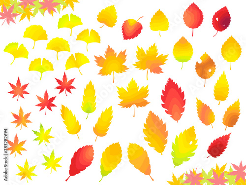 色々な紅葉した葉っぱのイラストセット