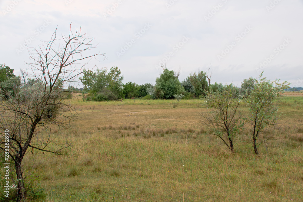 Landscape shot in the national park Neusiedler See in Illmitz Burgenland