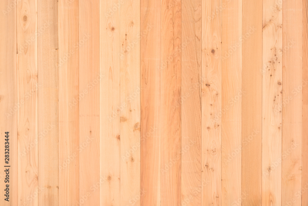 Obraz premium Wood plank wall texture background