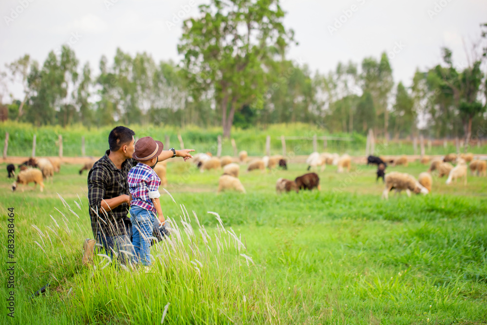 Father, let the children stand on the flow, lift their hands in the sky. See the sheep on their farm and point their hands toward the sheep happily. Father, let the children stand on the flow, lift their hands in the sky. See the sheep on their farm and point their hands toward the sheep happily.