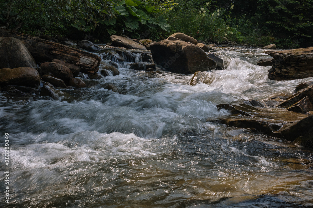 waterfall in the forest