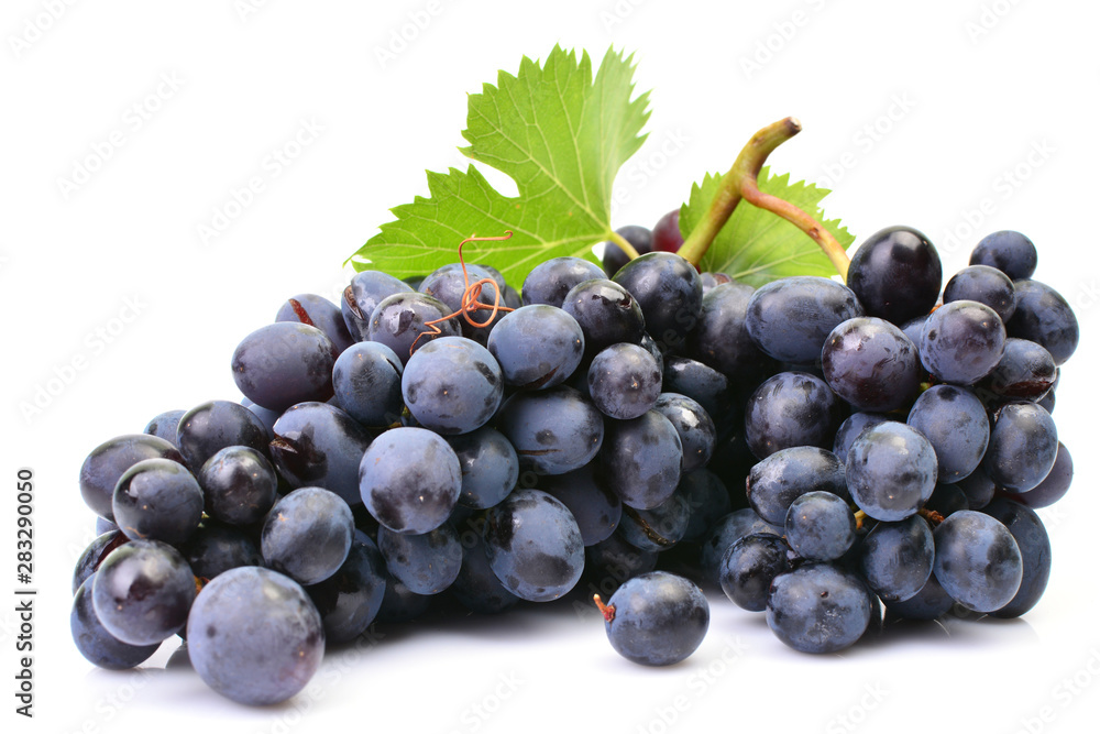 Fototapeta premium Grapes on a white background