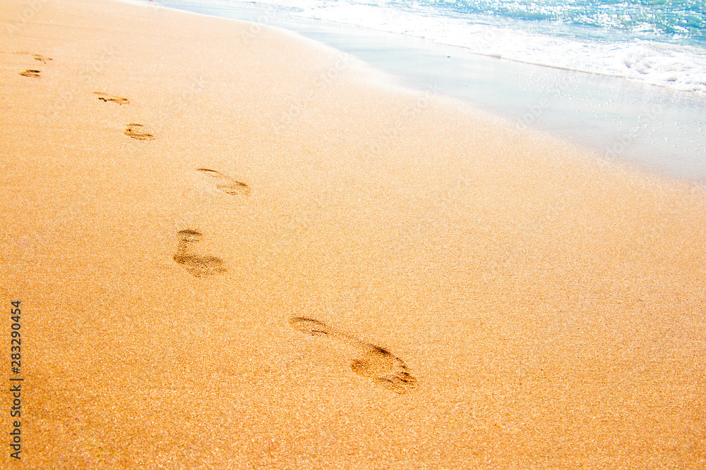 Footprints from children's feet in the clear sea sand Footprints from children's feet in the clear sea sand
