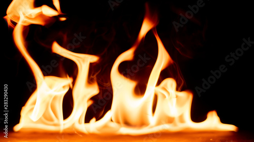 Wallpaper Mural Fire on black background. Torontodigital.ca