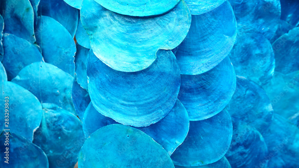 BLUE shell use decoration in wall and mobile           - obrazy, fototapety, plakaty 