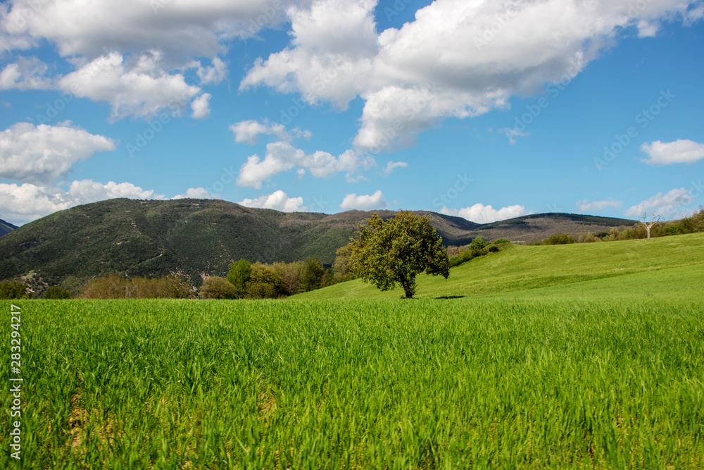 Landscape of Marche