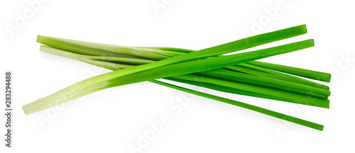 Garlic chives isolaed on white background