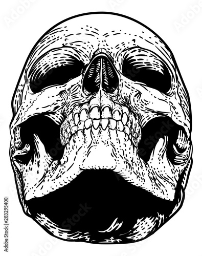 A skull graphic. Original illustration in a vintage engraving woodcut etching style.