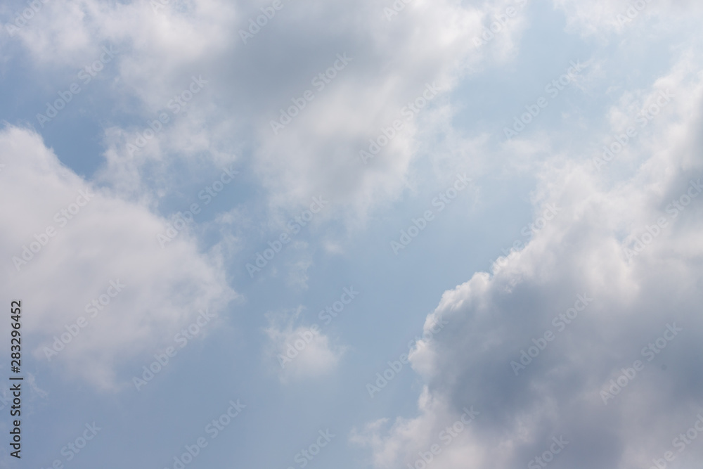 Fototapeta premium 東京都神代植物公園の7月の空