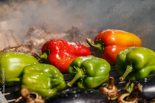 Cooking kebab on a metal skewer and grilled vegetables. Grilled meat and vegetables. Picnic, street food.