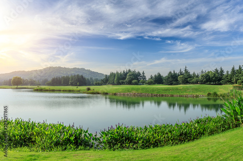 Fototapeta Naklejka Na Ścianę i Meble -  Green grass and woods with lake under blue sky