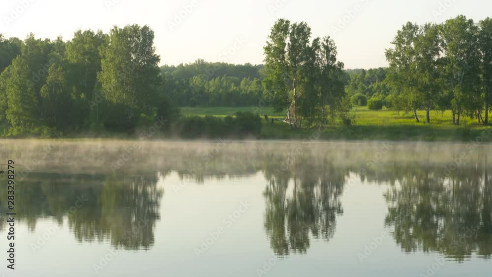 Beautiful early morning at forest lake Beautiful early morning at forest lake