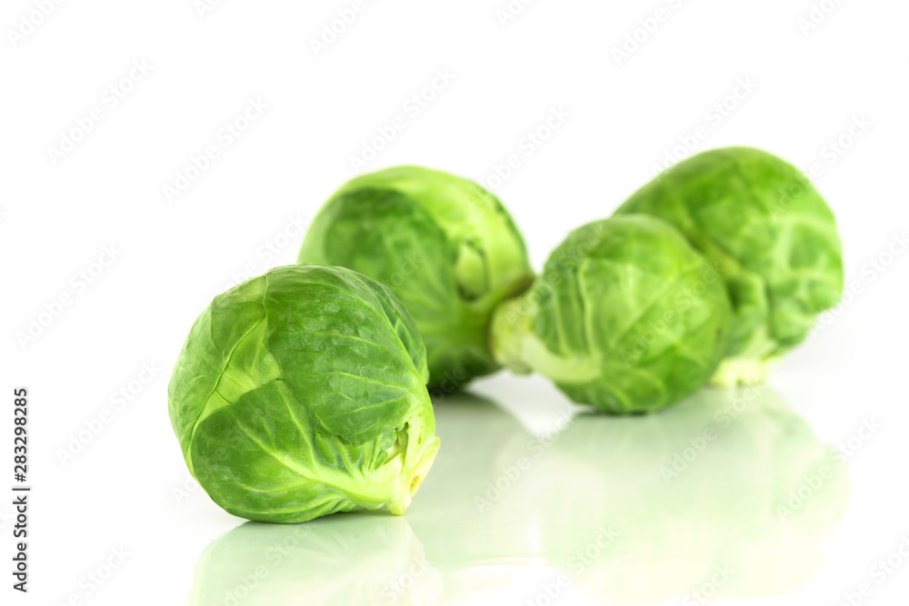 The Fresh green brussel sprouts vegetable on white background The Fresh green brussel sprouts vegetable on white background