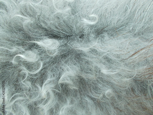  Abstract fur background