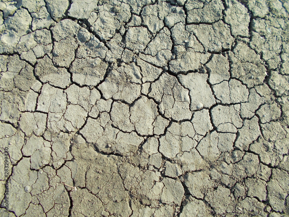Sandy background for design. Sandy background for design.