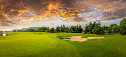 Green grass and woods on a golf field