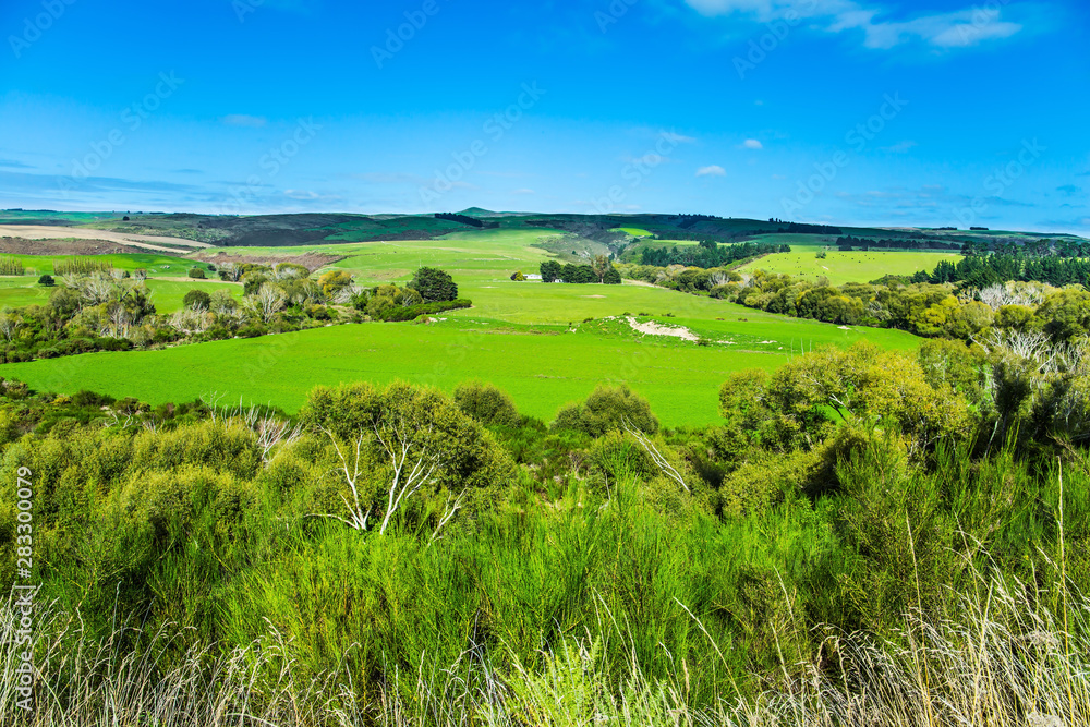 The fields and meadows The fields and meadows