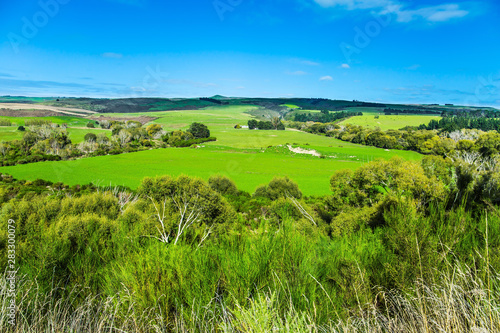 The fields and meadows