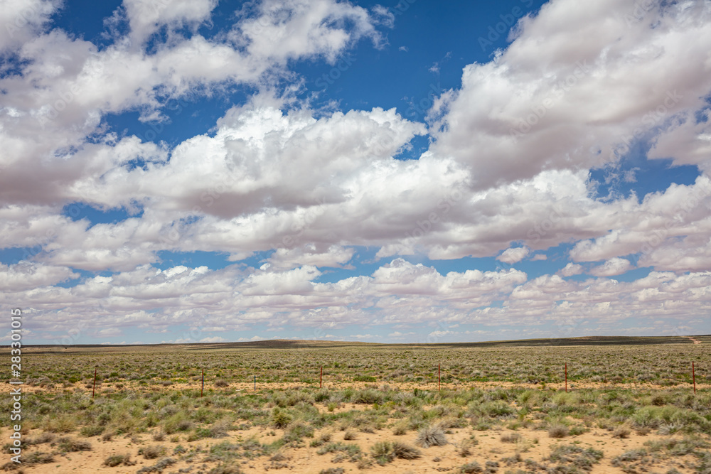 Desert landscape, US blue sky with clouds, spring day